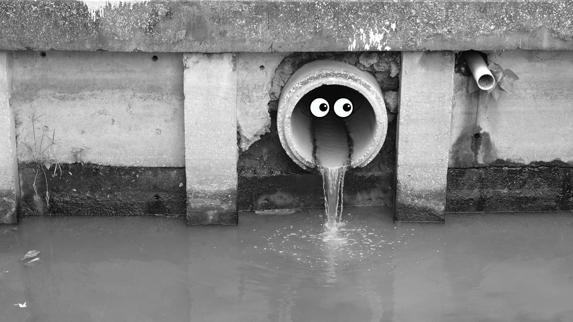 sewage outlet discharging into waterway. the outlet has googly eyes to make it look like a face.